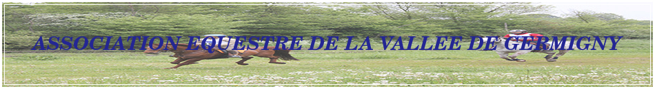 ASSOCIATION EQUESTRE DE LA VALLEE DE GERMIGNY